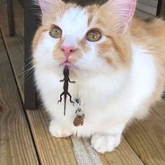 MrFluffyx