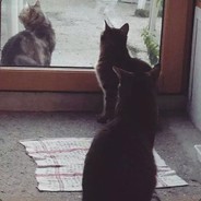阿祺