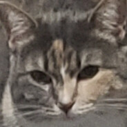 EldritchCatWzrd