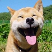 咸鱼
