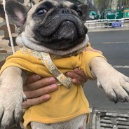 来福