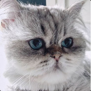 WOOGLE - steam id 76561197961888284