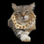 TerrorCat