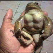 swole avatar