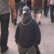 Muso's Avatar