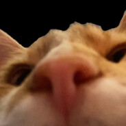 Kerluck