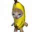 BANANA GO!'s avatar