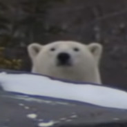 SnekyBear