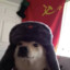 Perro sovietico