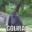 GOLIRA