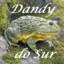 Dandy do Sur