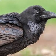 Sparky Crow