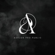 Aselon Pro Public sunucusunun logosu.