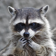 Wereraccoon avatar