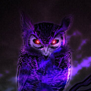 DarkOwl