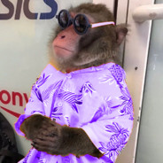 Cu4tro