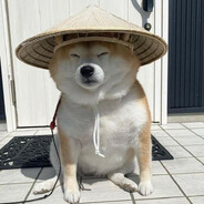 あなたの人生