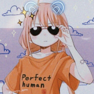 Counteryu69