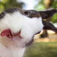 人生短短幾個秋's Avatar