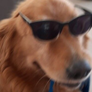 Lean 你 ***********