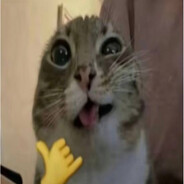 Bababoi