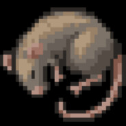 quail