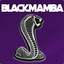 BlackMamba GeneralBot⇄KeysTesT