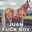 Juan