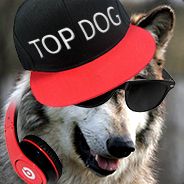 ToppestOfDogs