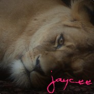 𝕵ay𝕮ee🐾