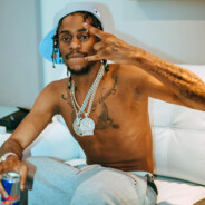 FANYX $uzi$