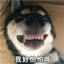 丶蔡虚鲲给你头上来个