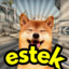 estek