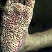 bezimiennybot's Avatar