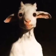 AimStütze installateur