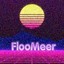 FlooMeer