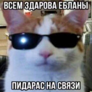 кароль мира