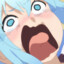 SWE Aqua
