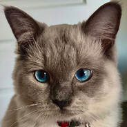 SoundeR avatar