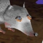 The Rat