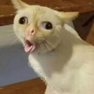 666