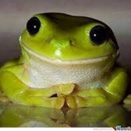 TheSmogFrog