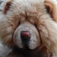 ||||||||||||||'s Avatar