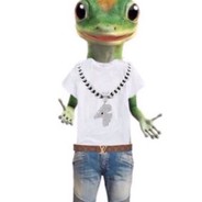 Geico