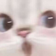 T A N