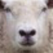 Feyenoord10csgocases_com