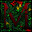 Group Avatar