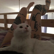 これ以上の強さはあり