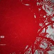 DarDav05
