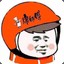 DSH夕阳红